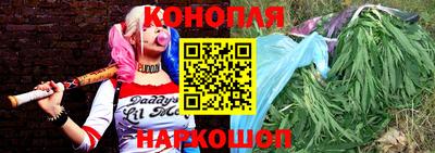 МДПВ Камышлов