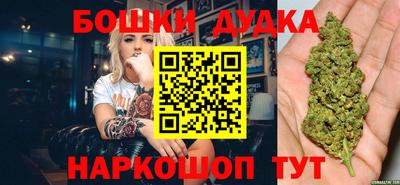 МДПВ Камышлов