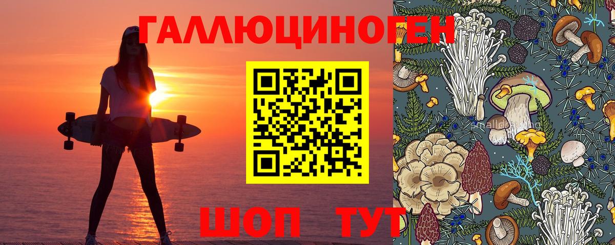 Костомукша  что такое наркотик  Вход с VPN  Псилоцибиновые грибы Psilocybe 