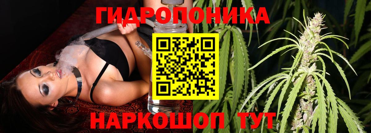 Codein Костомукша